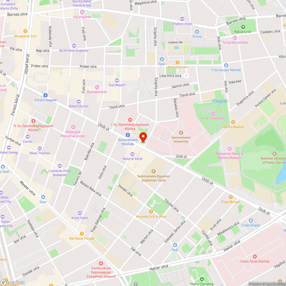 Takarítatlan, poros, szemetes kerékpársáv bejelentés helye