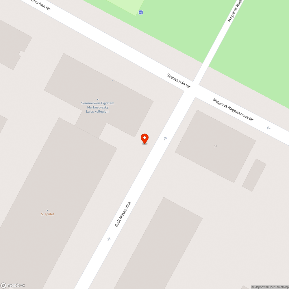 Az ostorfa ágai pofozzák a troli visszapillantóját bejelentés helye