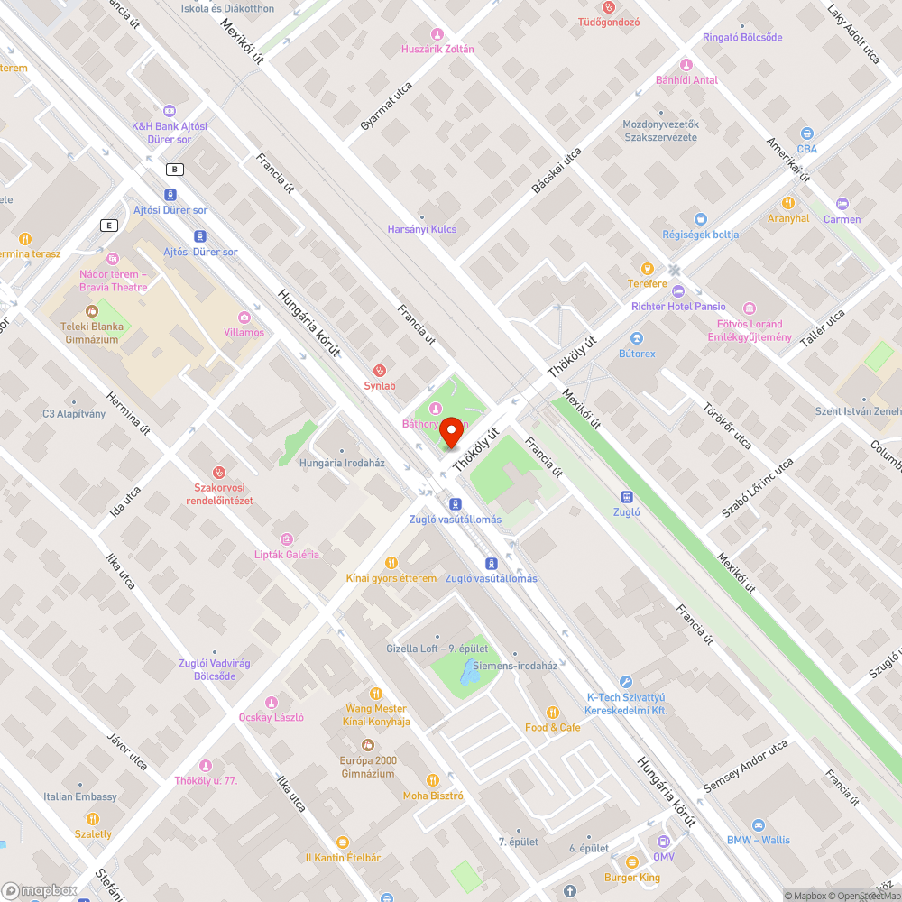 Lekopott zebra bejelentés helye