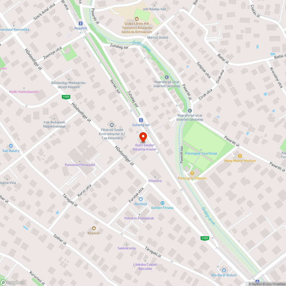 Tartós zöldhulladék-probléma a Versec soron bejelentés helye