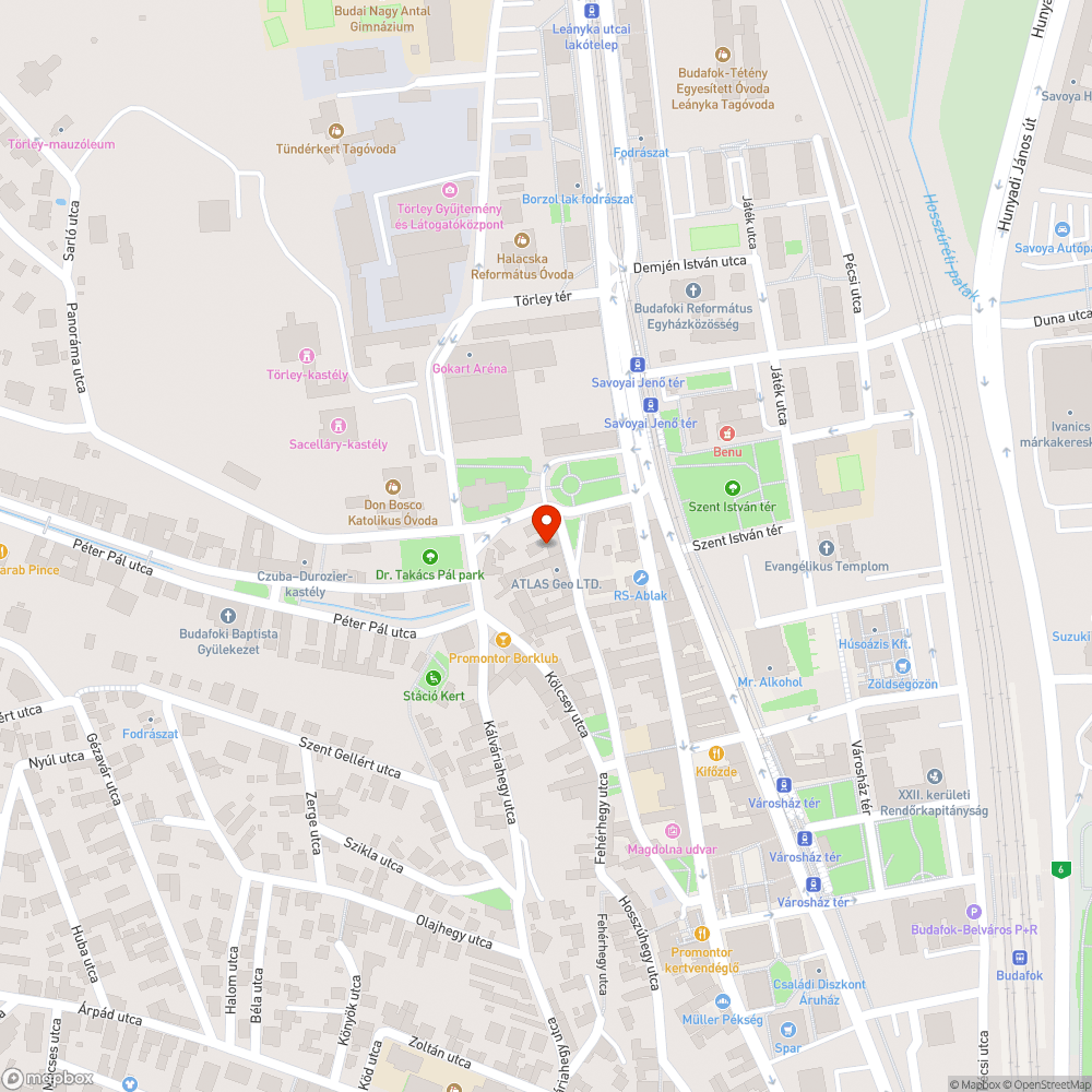 Kiszáradt fa bejelentés helye