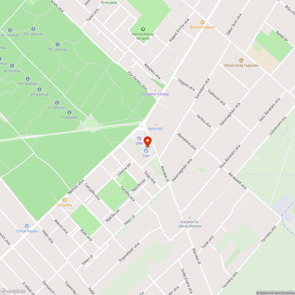 Szokásos szemét elhelyezés a Spar parkolójában. bejelentés helye