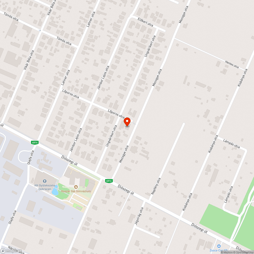 Vezeték közeli fa gallyazása bejelentés helye