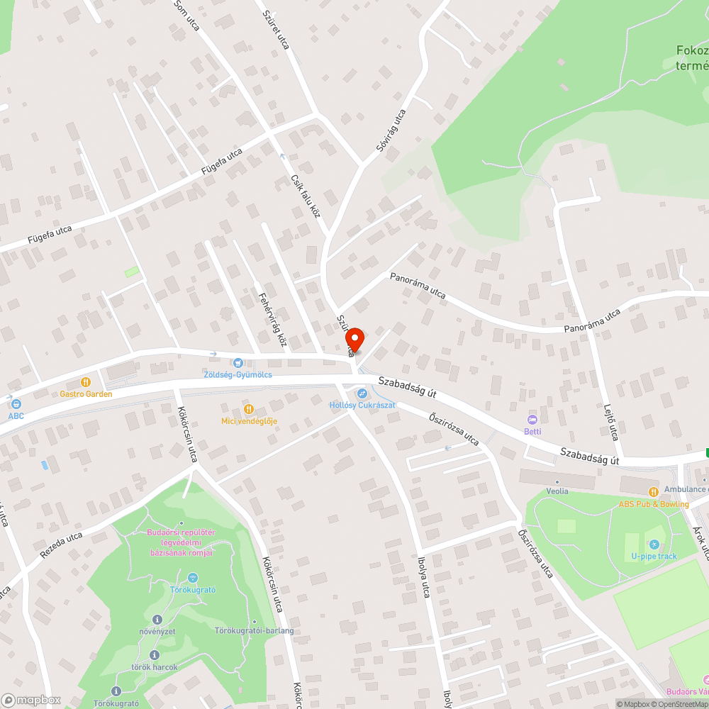 Elhagyott gépkocsi bejelentés helye