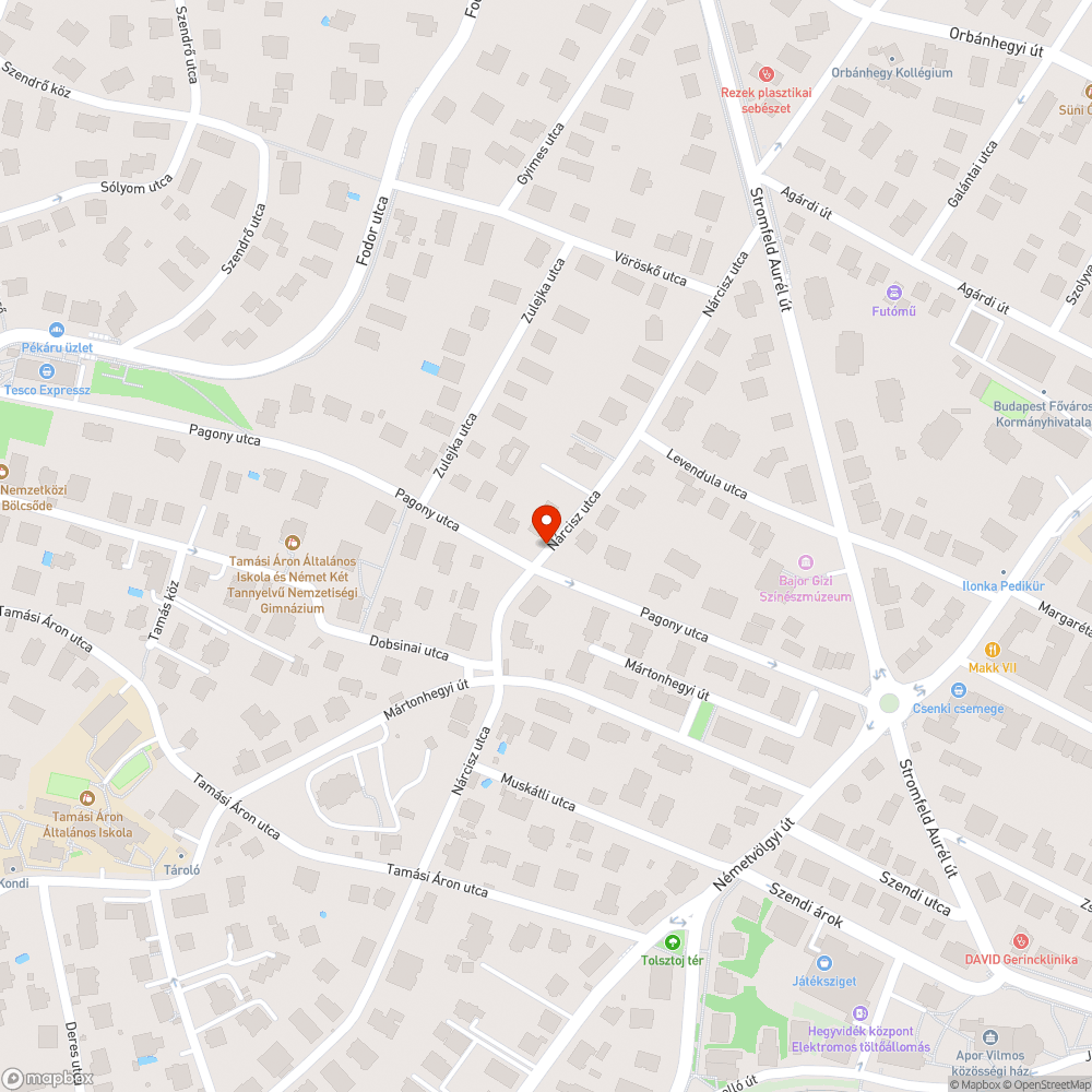 Botlásveszélyes aknafedlap bejelentés helye