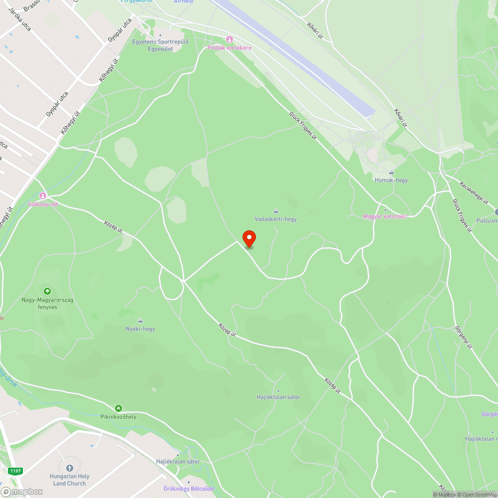 Nagy mennyiségű hulladék az erdőben bejelentés helye