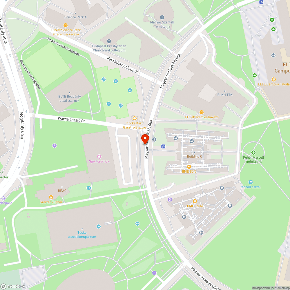 Gondozatlan fák a Magyar Tudósok körútján bejelentés helye