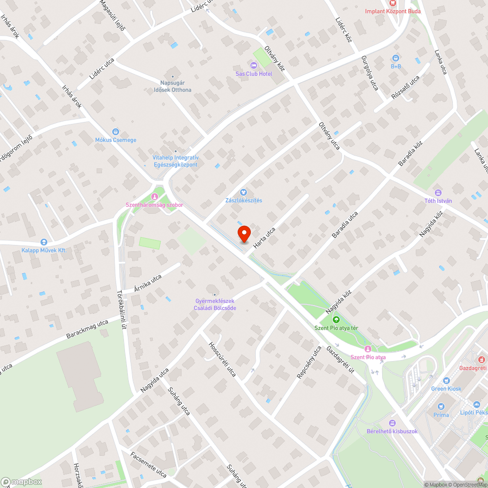 Burjánzó gaz a Gazdagréti út mentén bejelentés helye