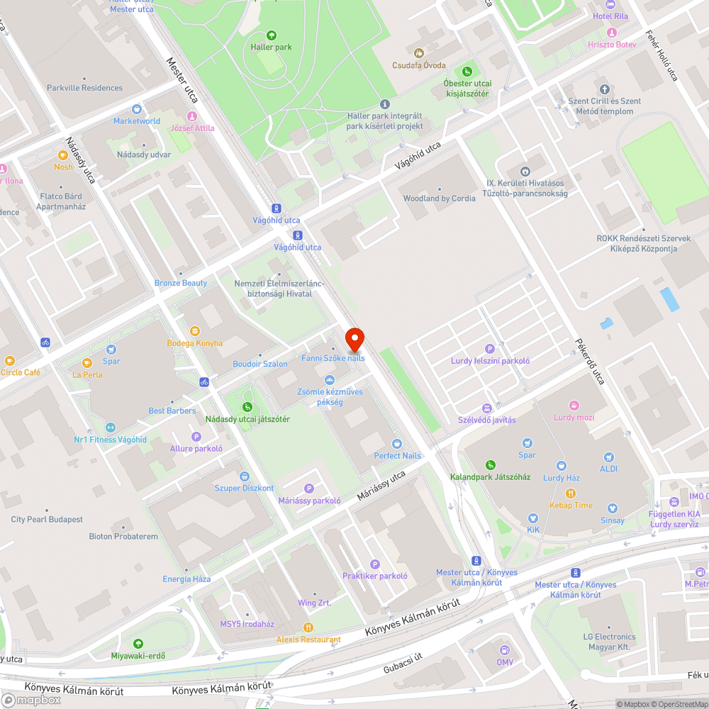 Beteg, elöregedett fa; elszállításra váró levágott faágak bejelentés helye