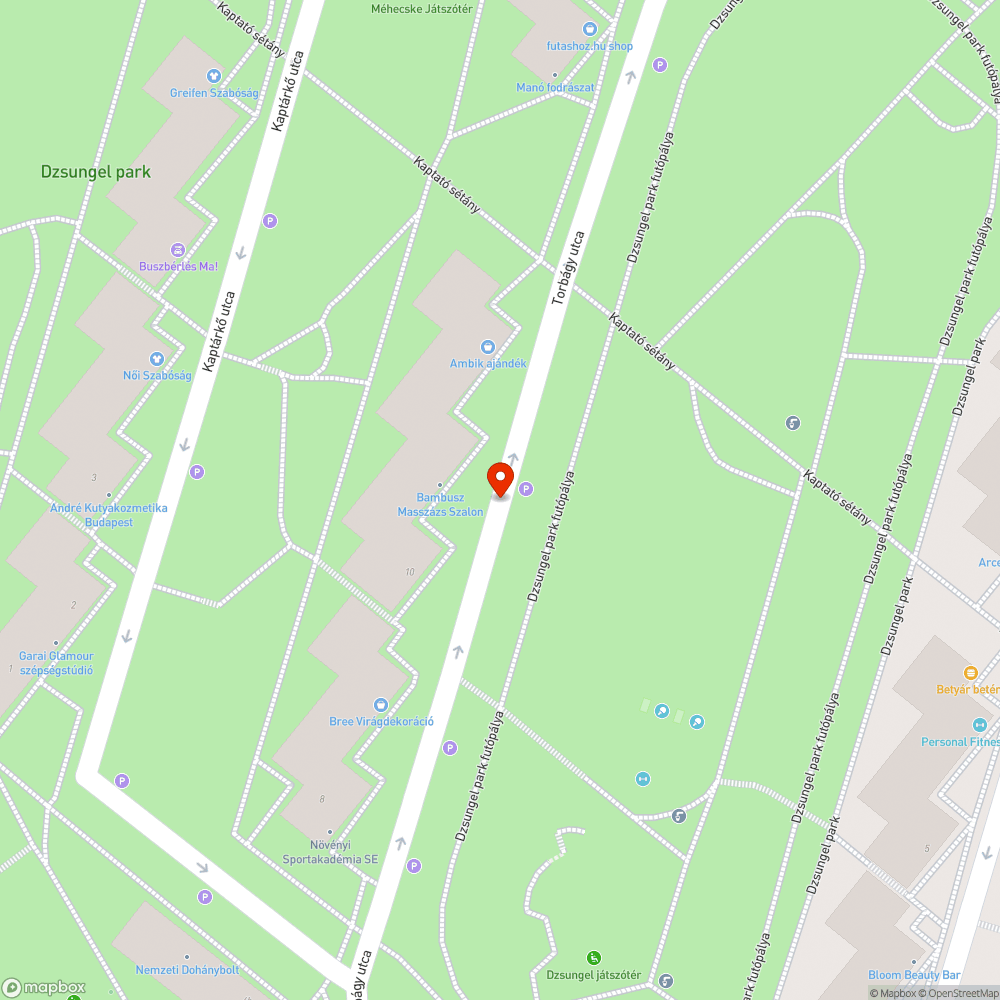 Rokkantak számára kijelölt parkolóhely jogtalan foglalása bejelentés helye