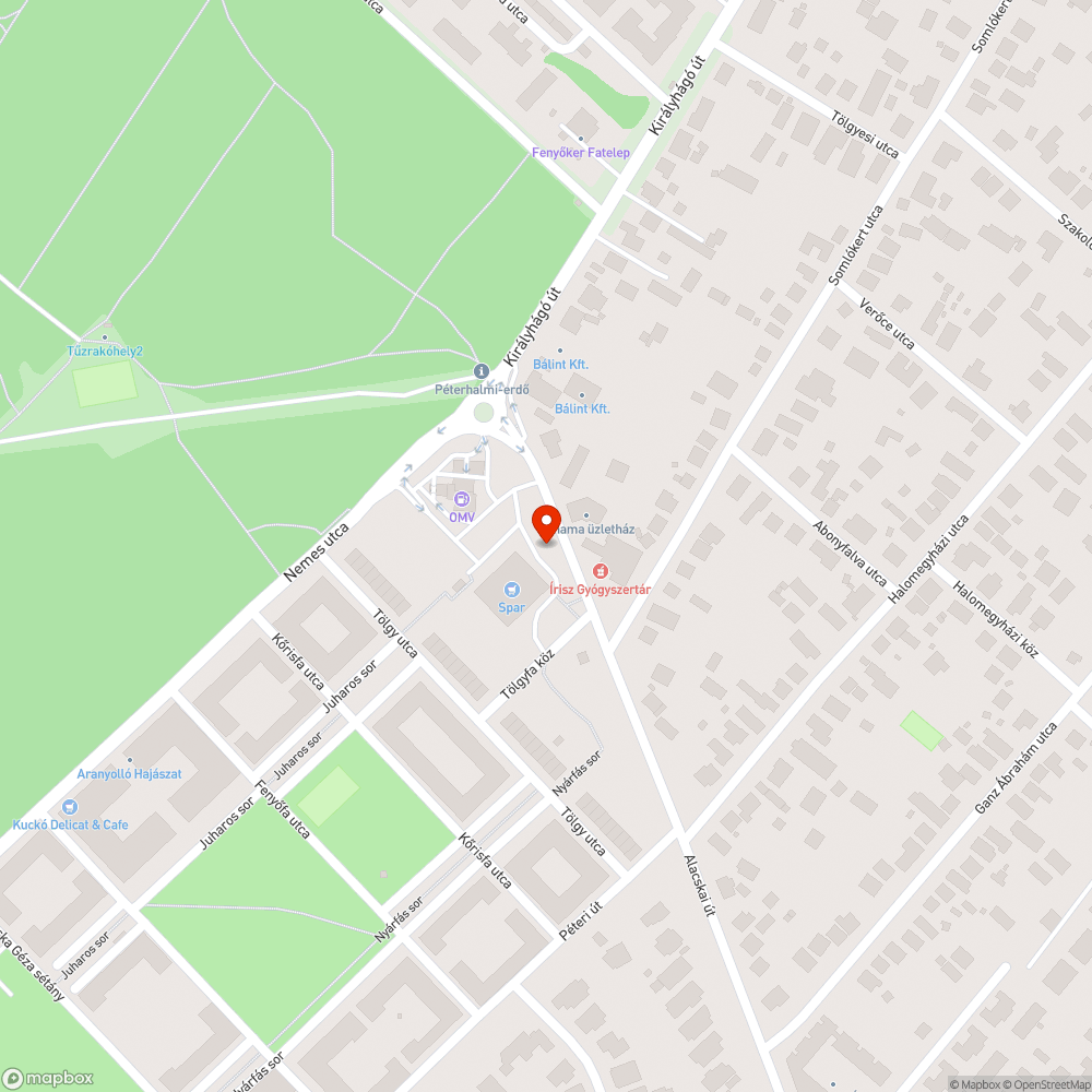 Kidőlő tábla a Spar parkolójában bejelentés helye
