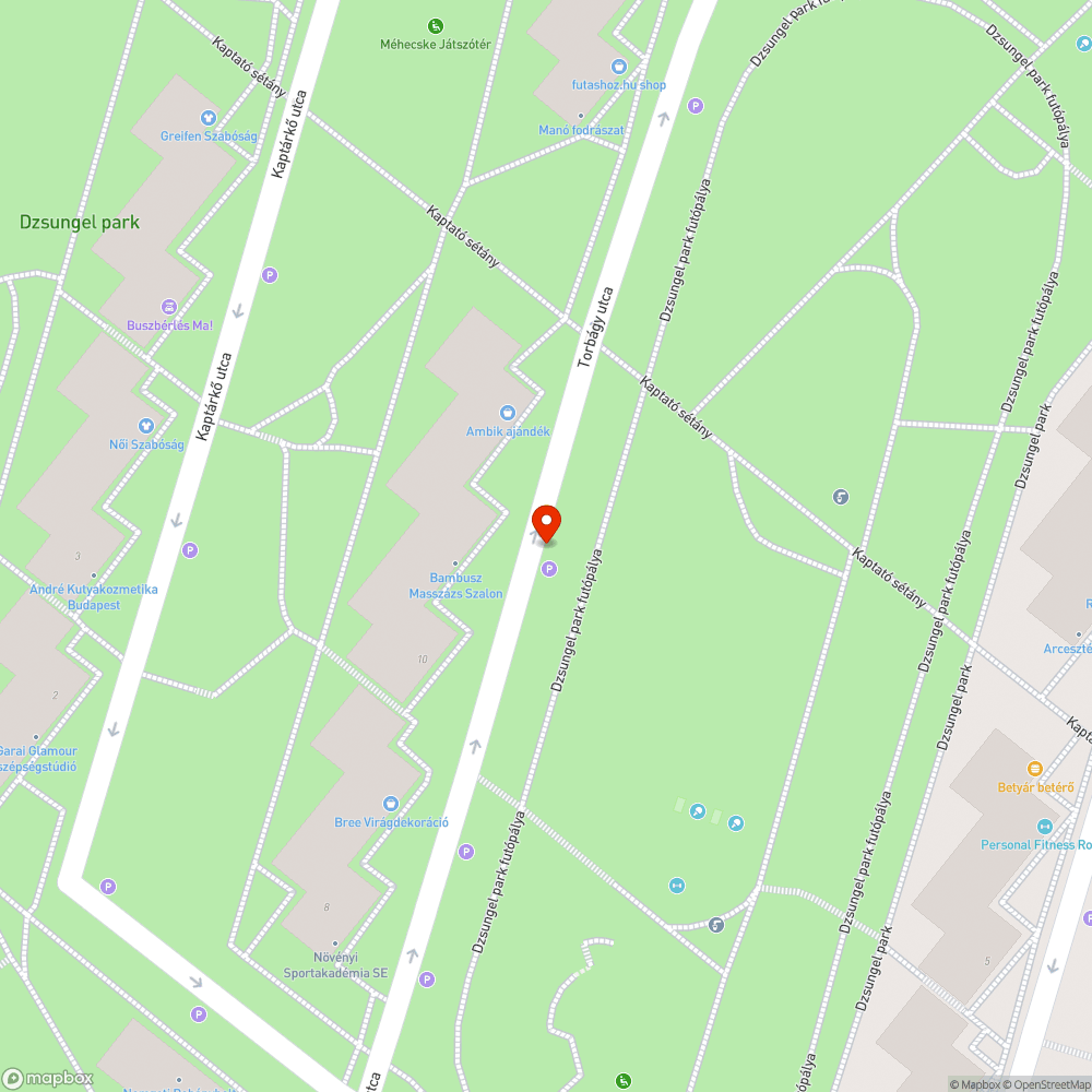 Rokkantak számára kijelölt parkolóhely jogtalan foglalása. bejelentés helye