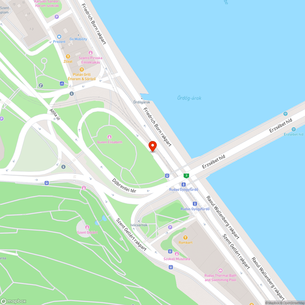Autóparkolónak kijelölt területre durván belógó növényzet bejelentés helye