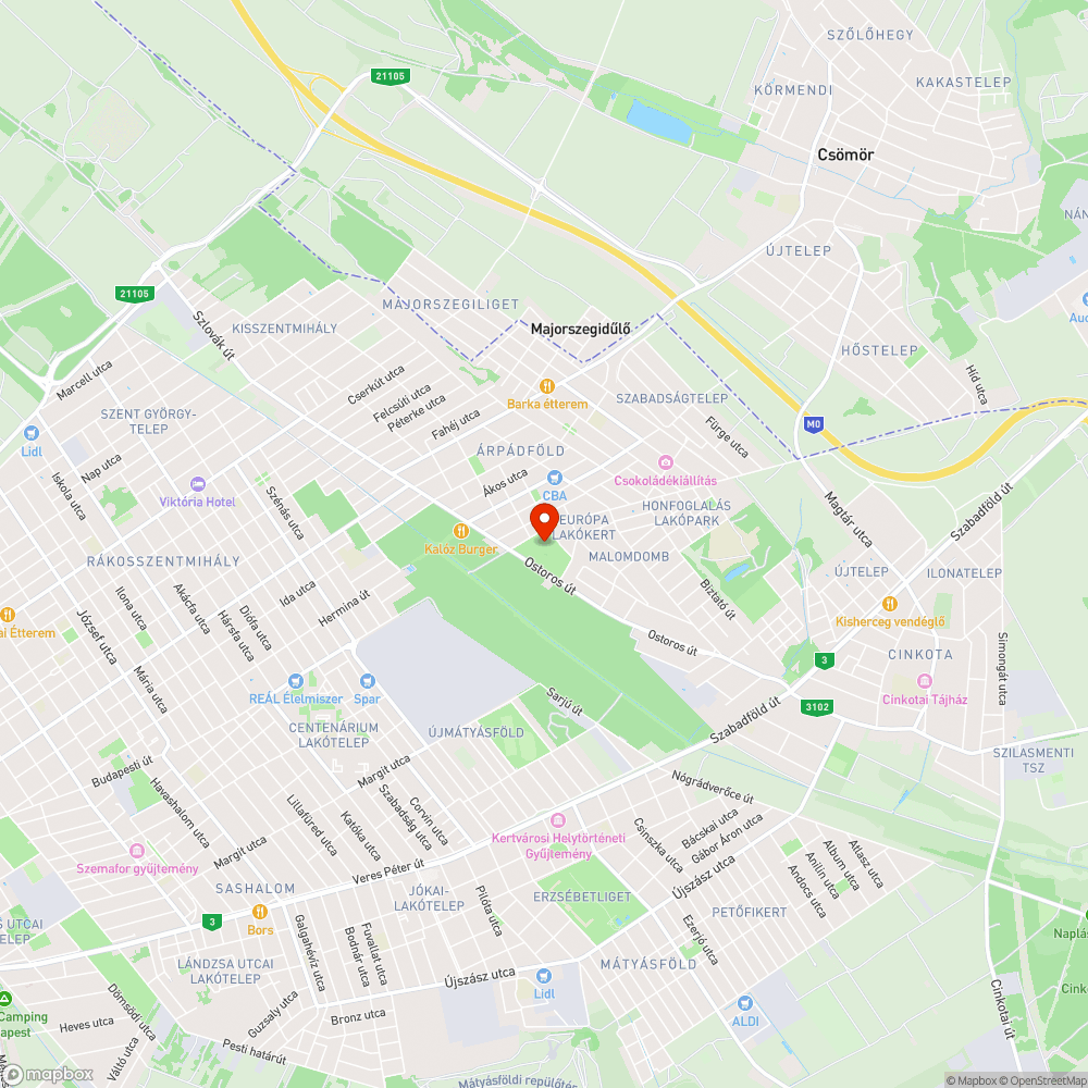 Magas fű, gaz, kezeletlen park bejelentés helye