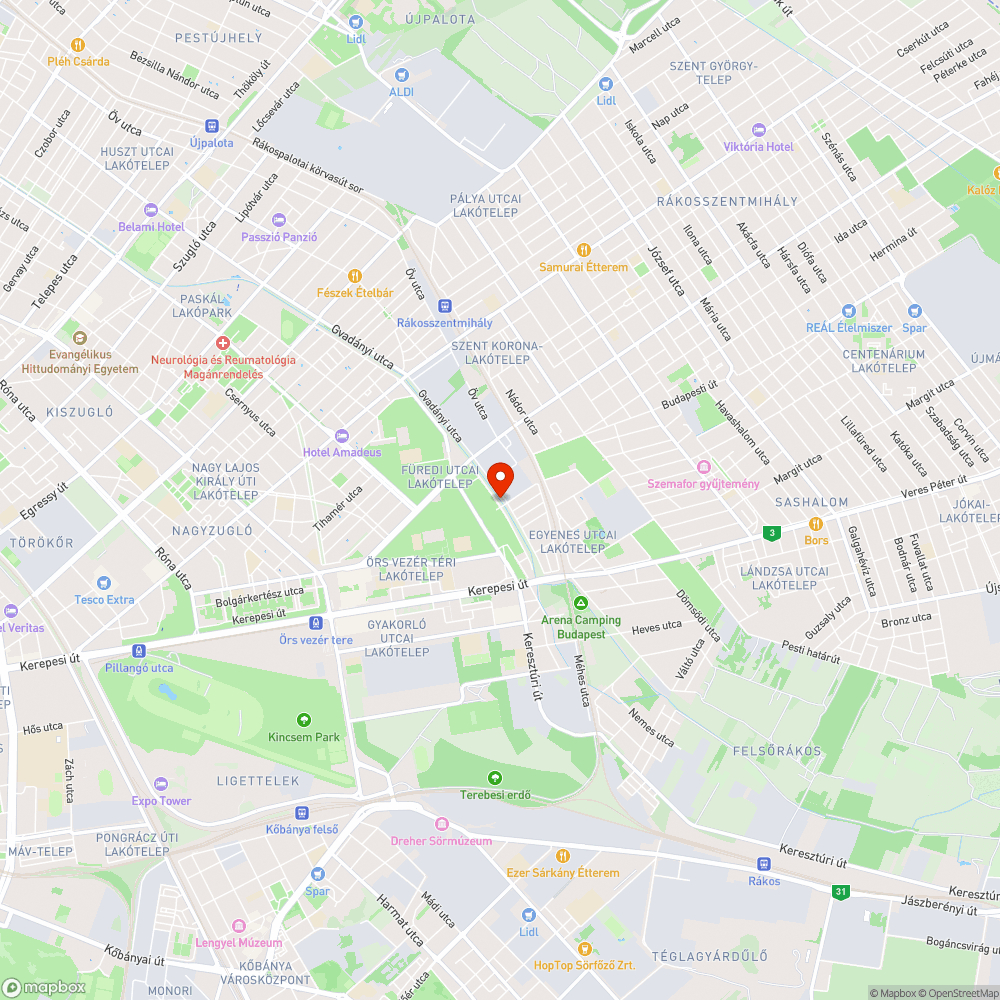 Elburjánzó természet Rákos-patak partja (Füredi - Kerepesi) bejelentés helye