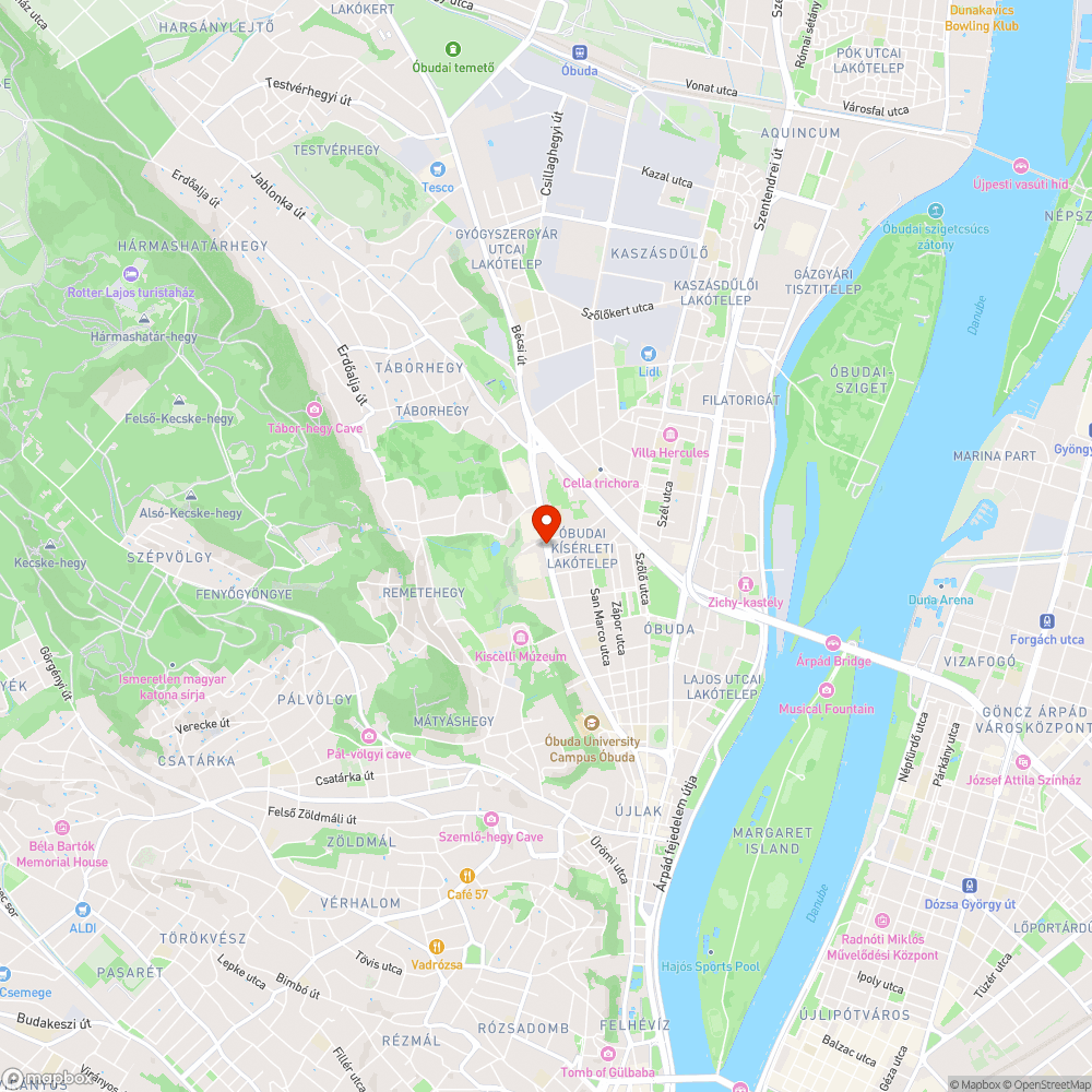 Újra dzsungel a járdaszigeten bejelentés helye