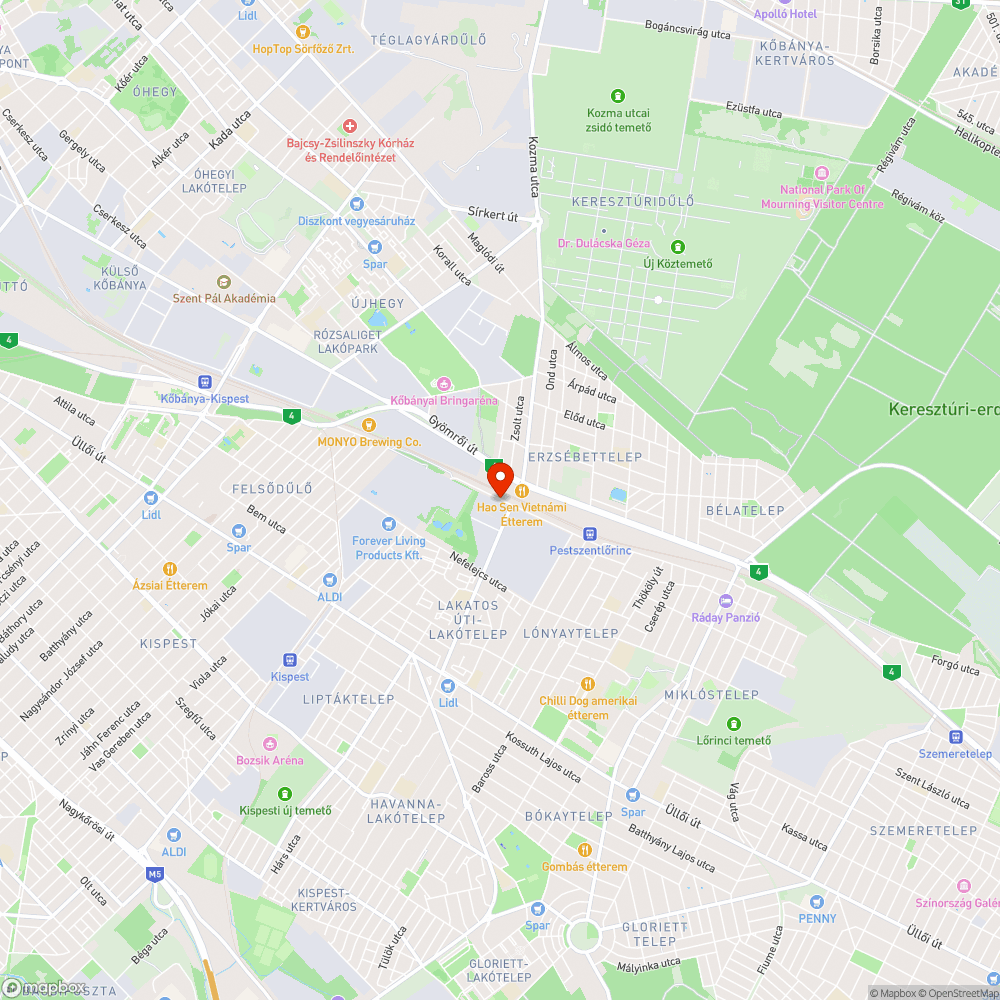 Ez maradt utánuk.... XVIII. Alsó erdősor utca bejelentés helye