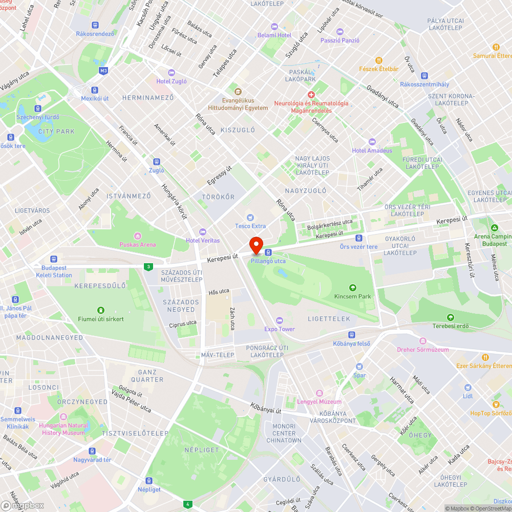 Szeméthalom a Pillangó utcai metrómegálló parkolójában bejelentés helye