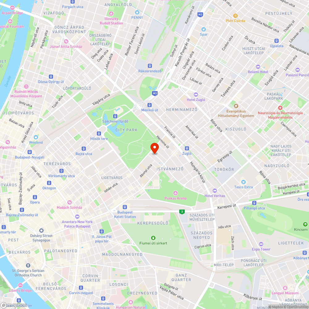 Gallyak a bicikli úton már egy hete bejelentés helye