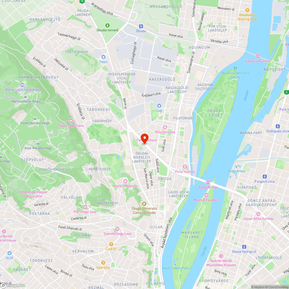 Járdára benőtt növényzet bejelentés helye