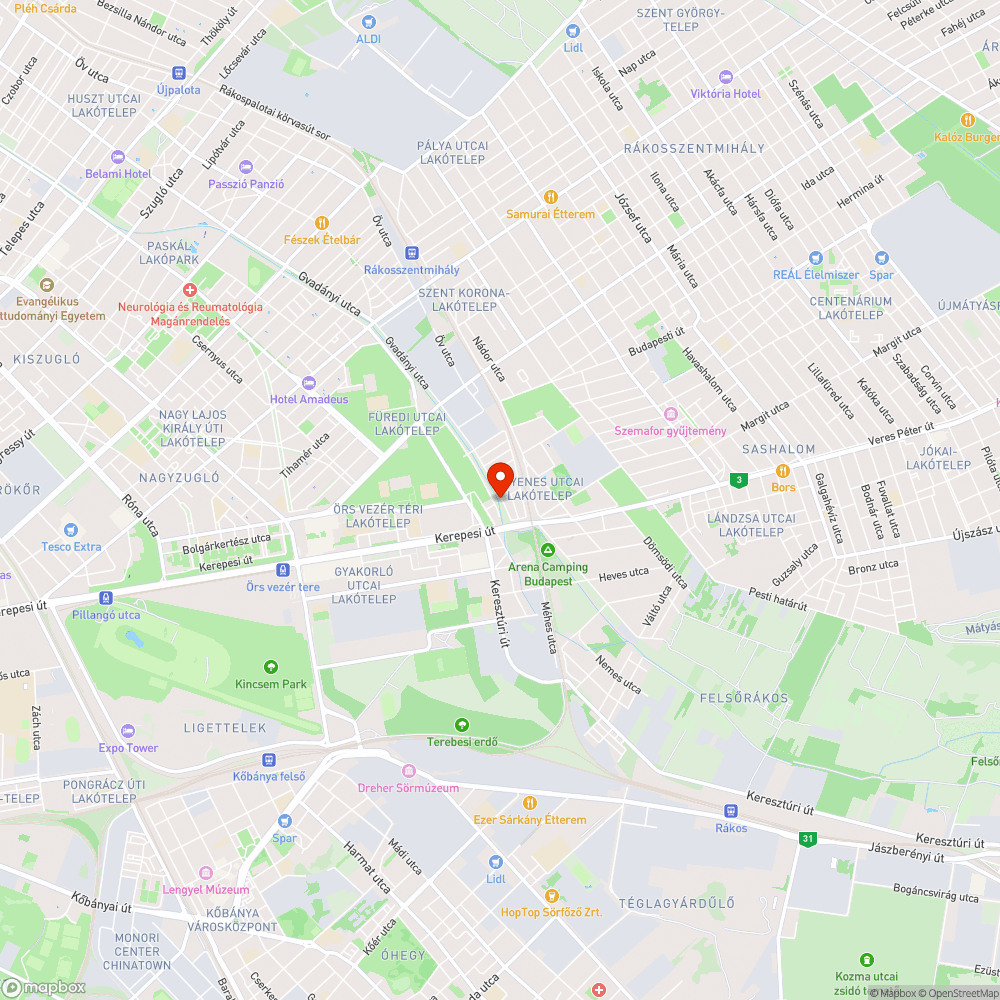 dzsungel a patakmederben bejelentés helye