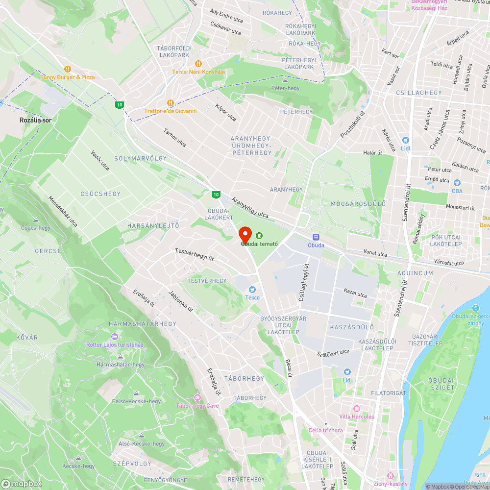 Nagy pocsolya a járdán (Bécsi úti Praktikernél) bejelentés helye