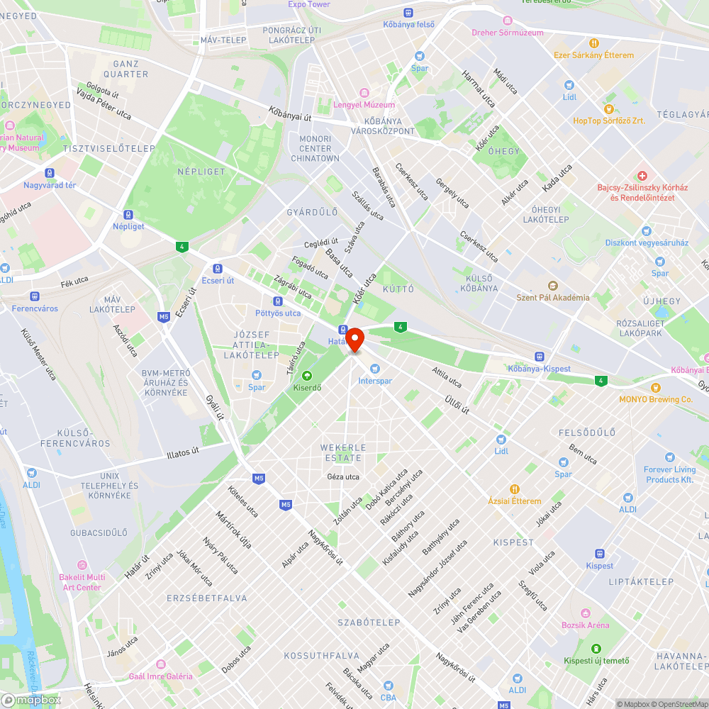 Tócsák az új bicikliúton bejelentés helye