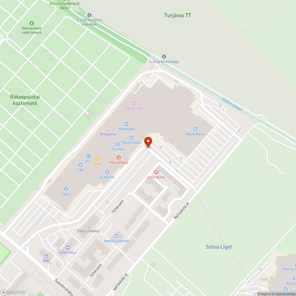 Katasztrofális kátyúk a pólus hátsó parkolójában bejelentés helye