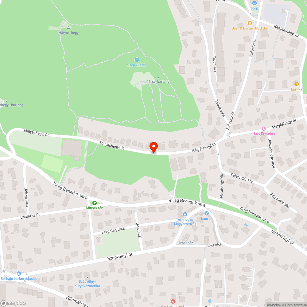 Parkoló autók a sávba bejelentés helye