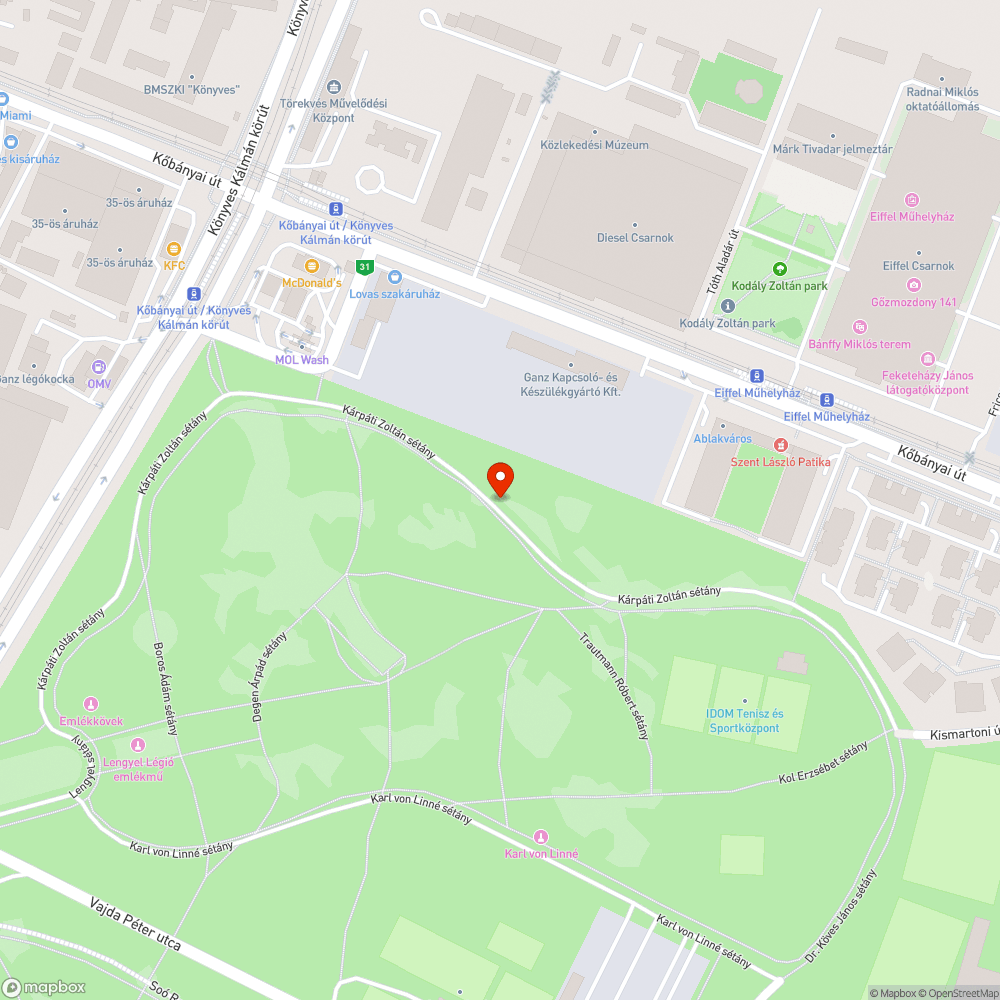 Eltömődött lefolyók a Népligetben bejelentés helye