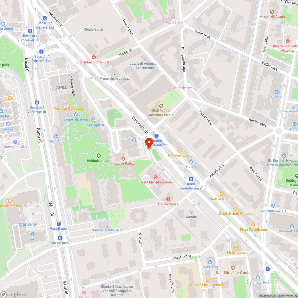 Rendszeres köztisztasági probléma a Spar/Pizza Forte környékén bejelentés helye