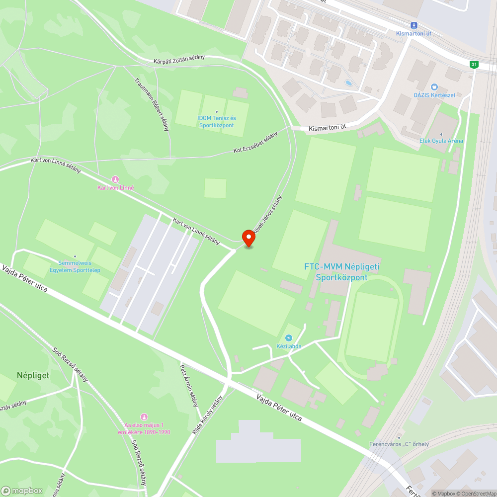 Újabb behajtásgátló oszlop tünt el a Népligetből bejelentés helye