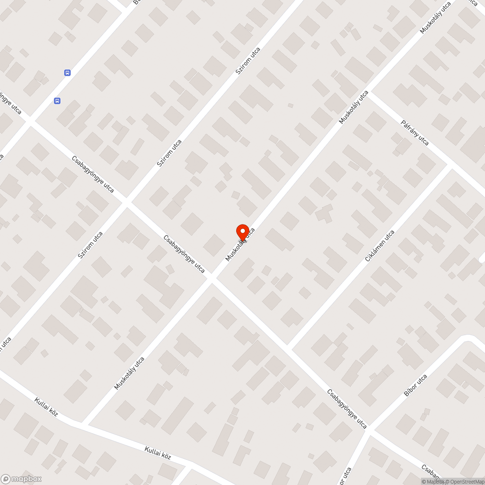 Megsüllyedt útburkolat és töredezett aszfalt a Muskotály utcában bejelentés helye