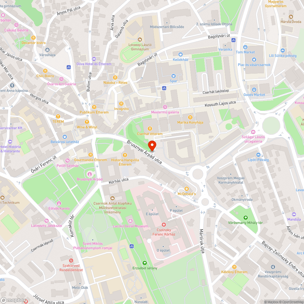 Félig kidöntött szemetes Veszprém belvárosában bejelentés helye