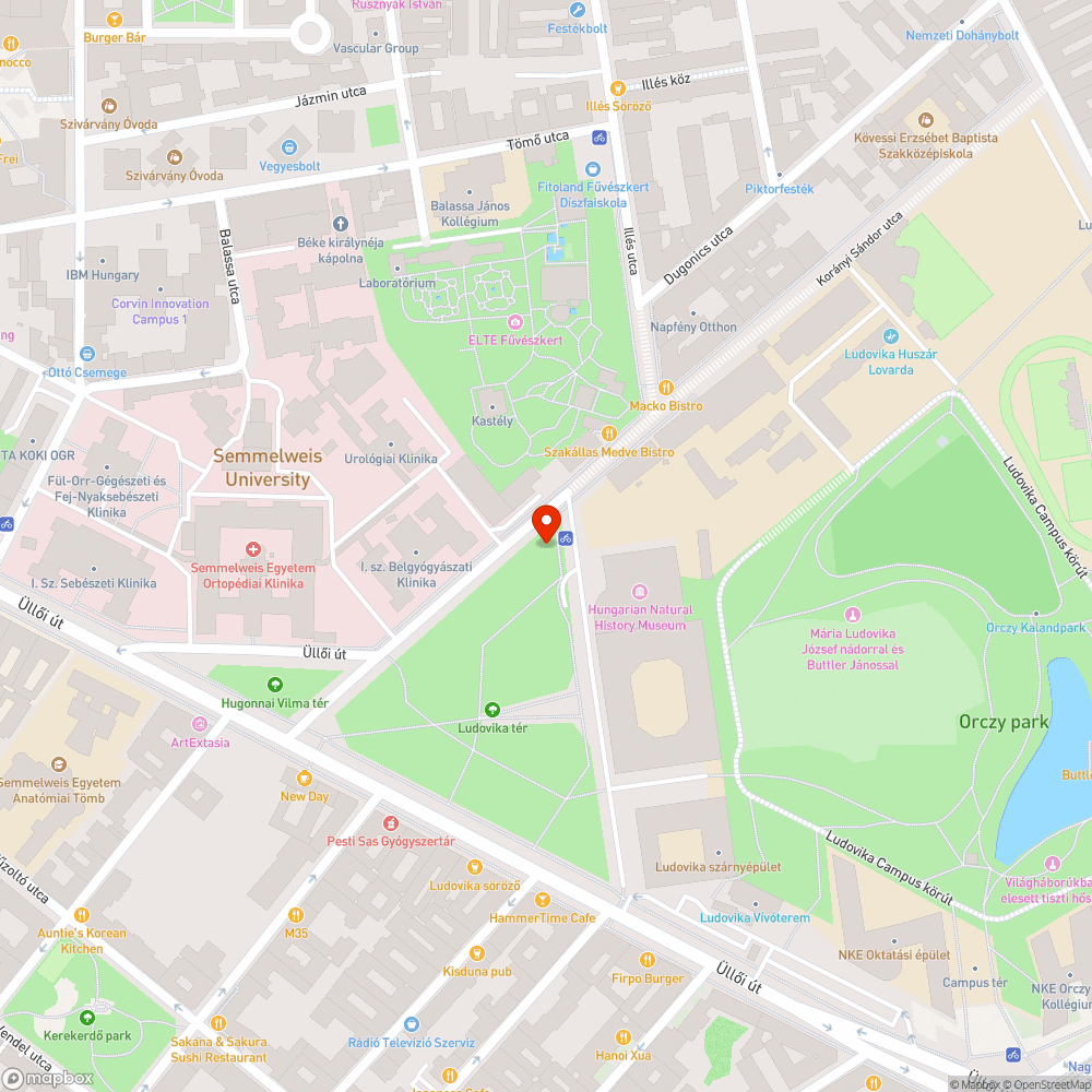 Gondozatlan gazos Ludovika tér bejelentés helye