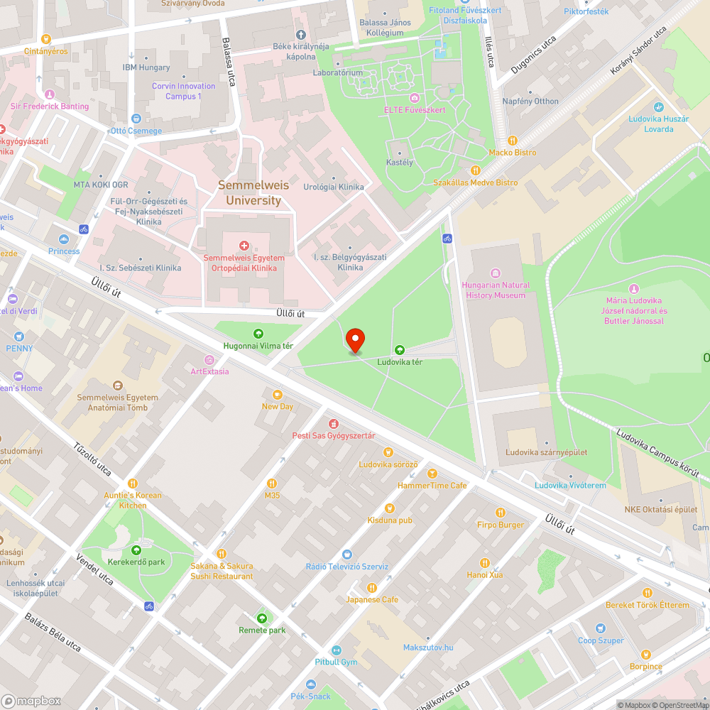 Sérülő fiatal fák a Ludovika téren bejelentés helye