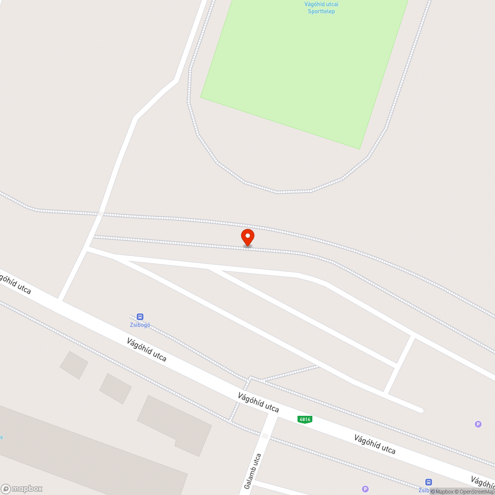 Bokor részlegesen akadályozza a járdán a közlekedést. bejelentés helye