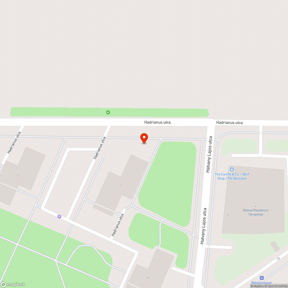 Természetvédelem - mirigyes bálványfa sarjak nagy területen bejelentés helye