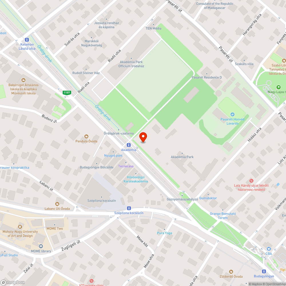 Kiszáradó fák az Akadémia P+R parkolóban bejelentés helye