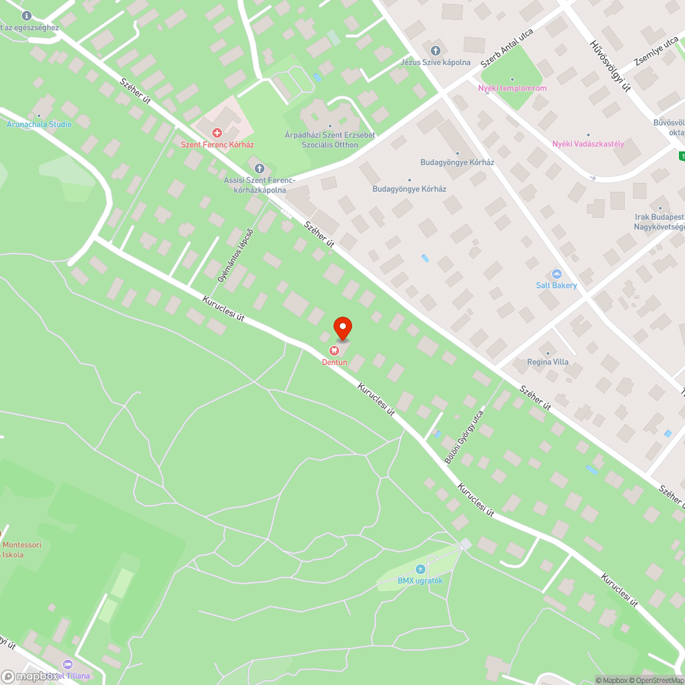 Elpusztult macska bejelentés helye