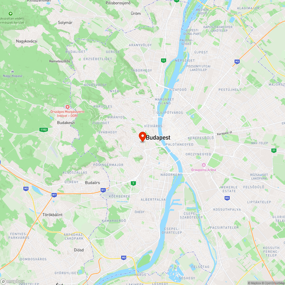 Letört faág, megdőlt fa Ugocsa utca elején bejelentés helye