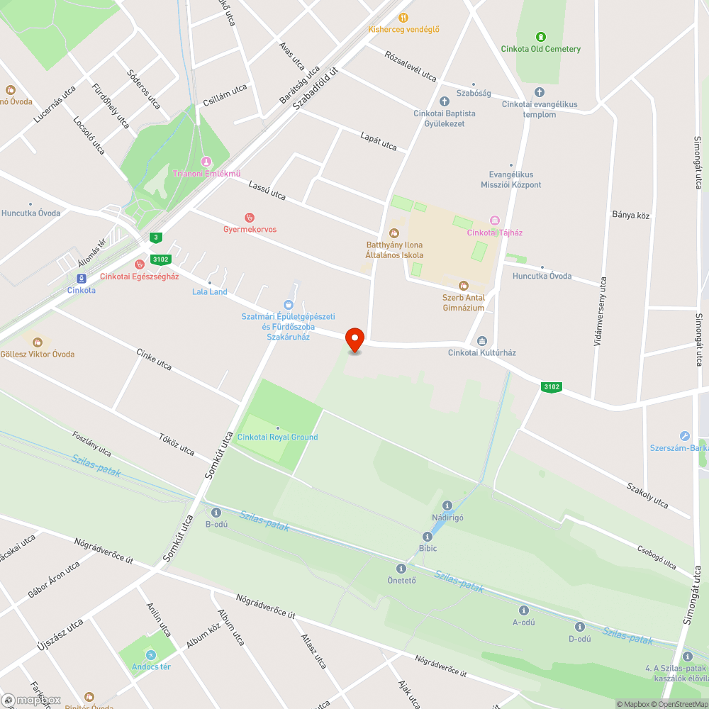 Közterületi korhadt faág - balesetveszély megelőzése bejelentés helye