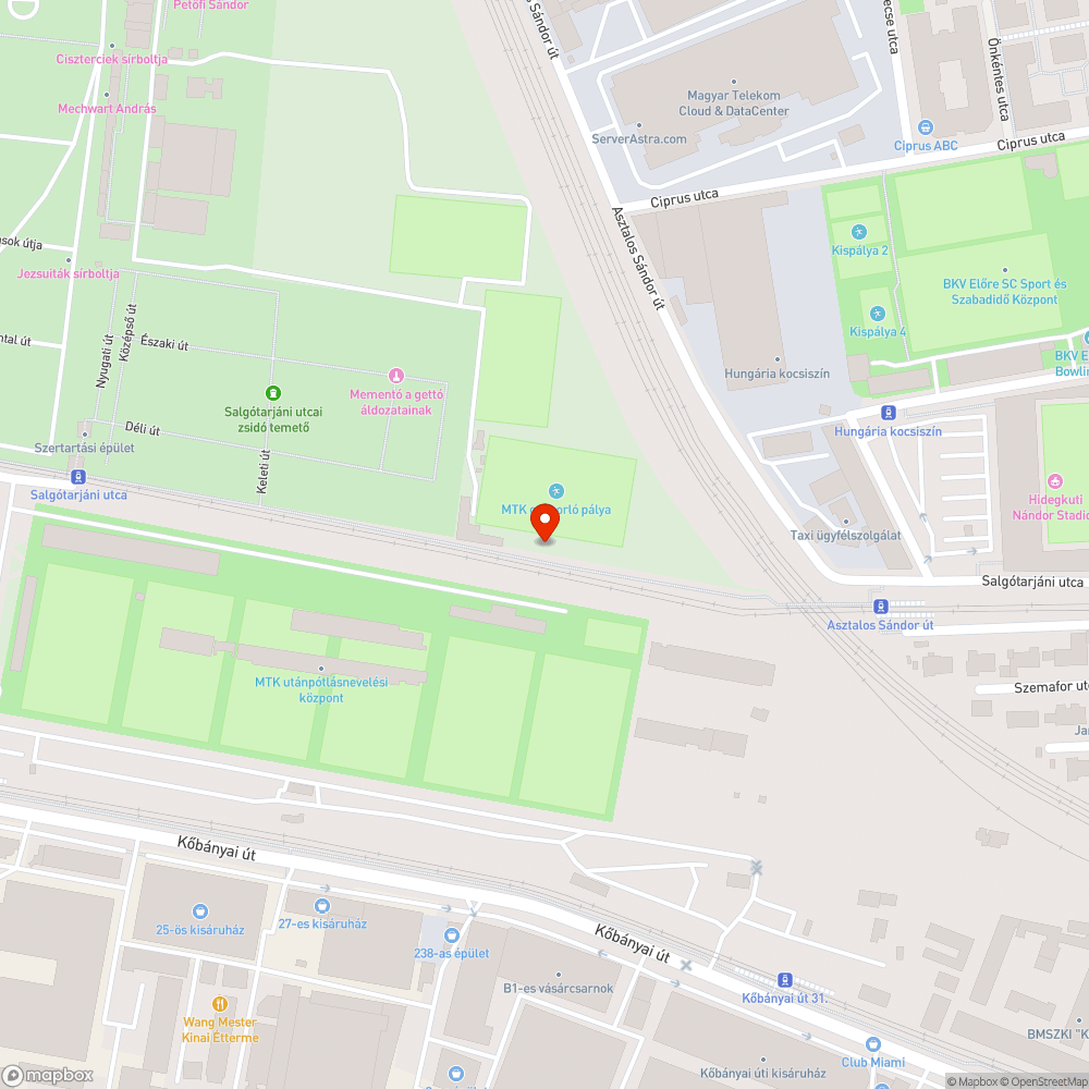 a járdát benőtte a gaz bejelentés helye