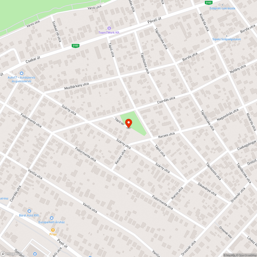 Torott kosargyuru bejelentés helye