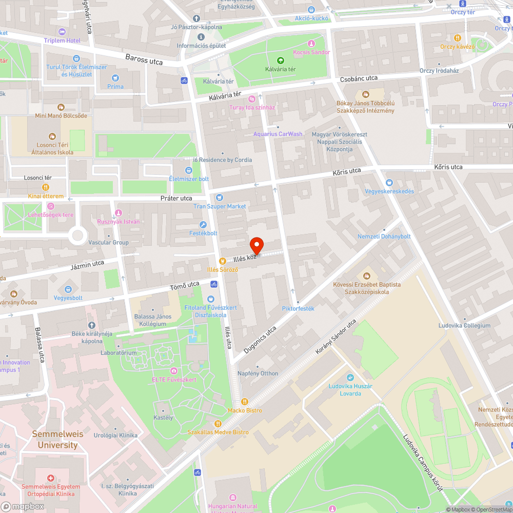 Patkányok bejelentés helye