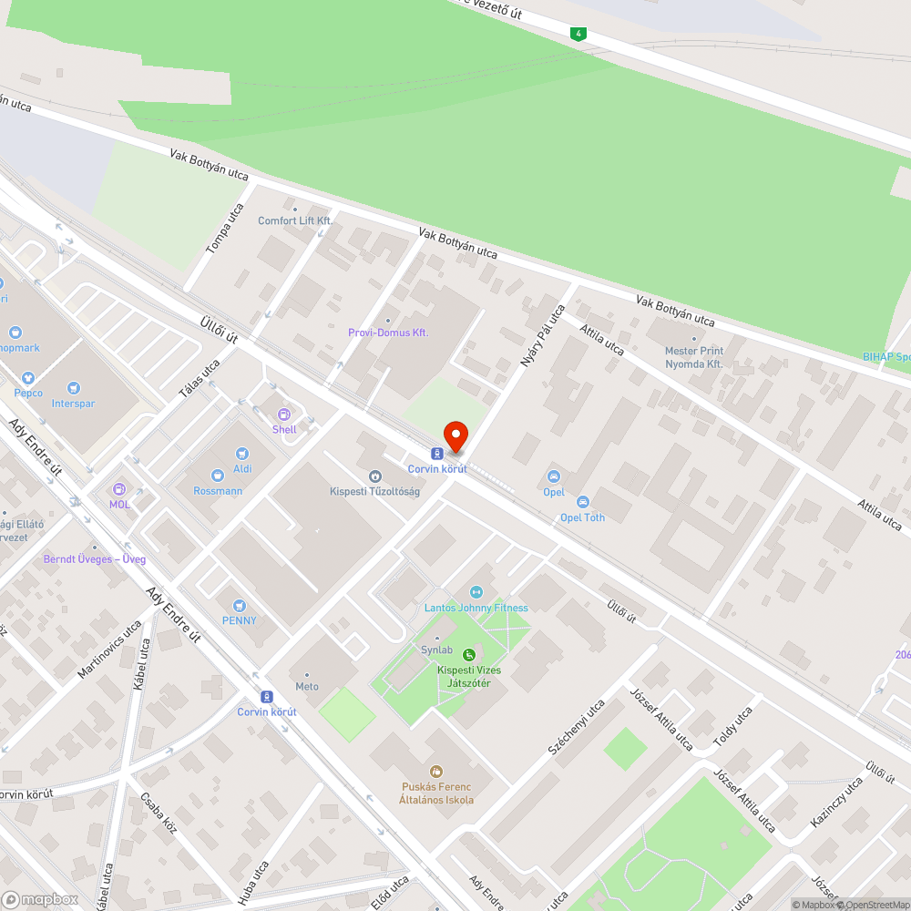 Rendkívül elhanyagolt telek, a gaz és az ecetfa már a járdára nő bejelentés helye