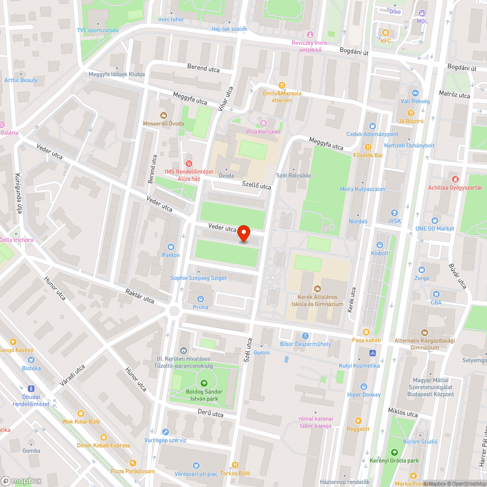 Szemétkupac a Veder utcai parkban bejelentés helye