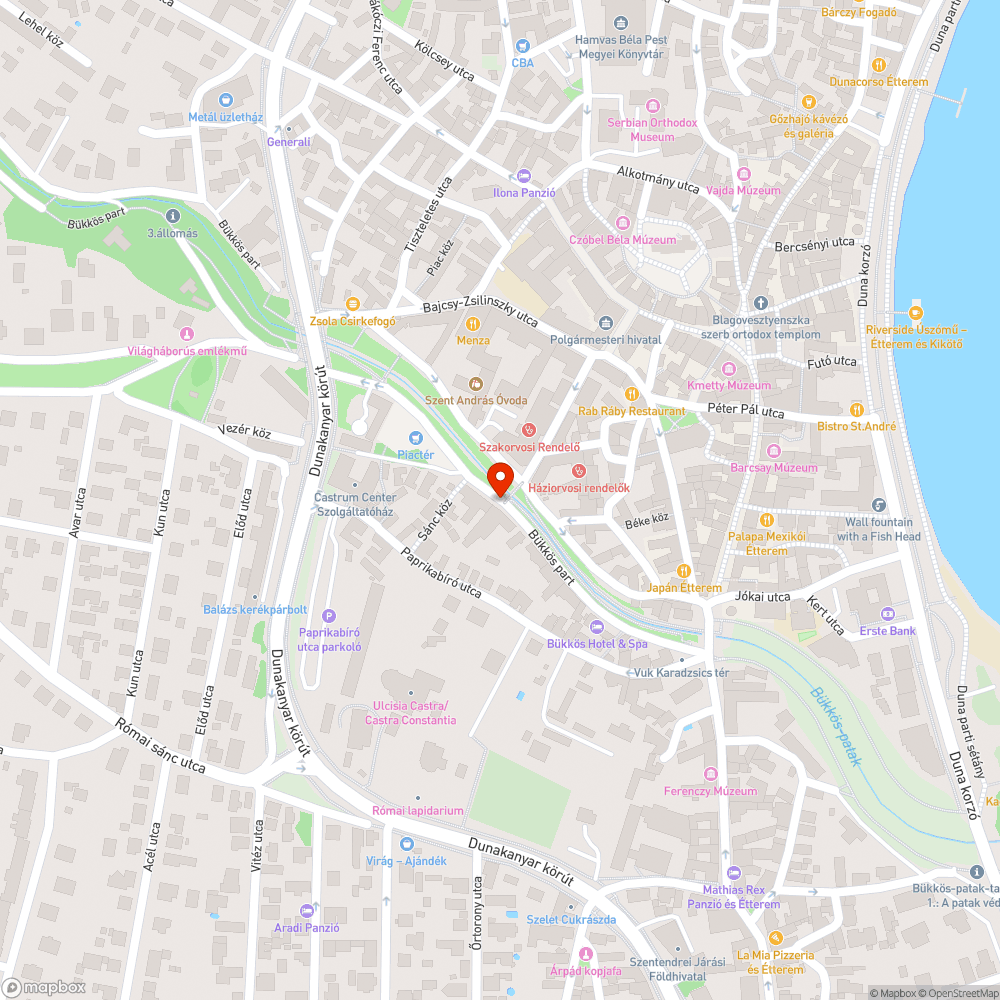 Kiszáradt fa a Bükkös patak mentén a rendelővel szemben bejelentés helye