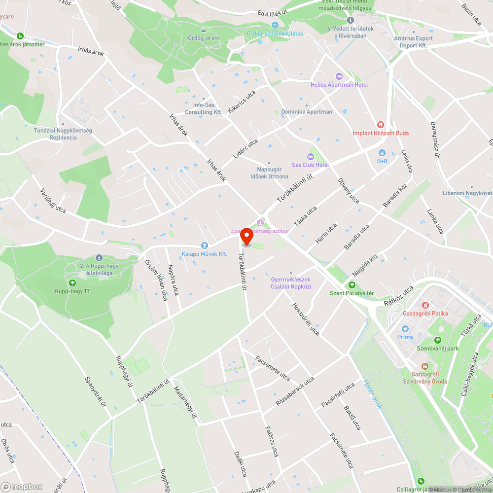 Hiányzó járda a teljes útszakaszon bejelentés helye