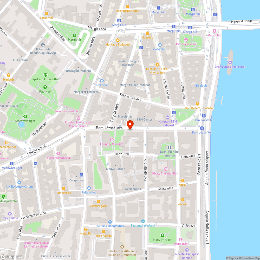 burjánzó parlagfű a Bem József tér melletti romos telken bejelentés helye